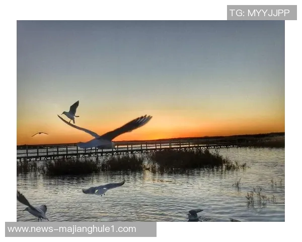 2026电竞新闻与杨芳畅谈DOTA2职业生涯的起伏与梦想追逐